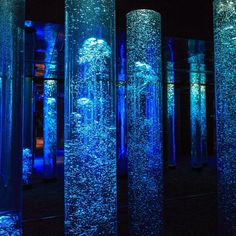 blue lights are shining on the glass columns