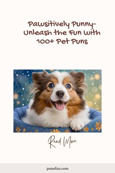 Visit Website Pet Puns, Pet Photos, An Animal