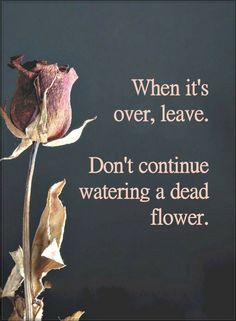 a rose with the words, when it's over, leave don't continue watering a dead flower