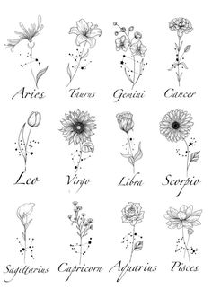 twelve zodiac signs with flowers in black and white