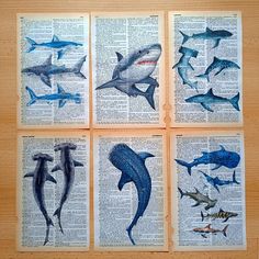 four different types of sharks on top of an open book