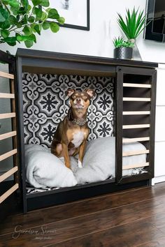 a dog sitting in its bed on top of a wooden floor next to a potted plant