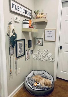 a cat is laying in his bed on the floor next to some pictures and other items