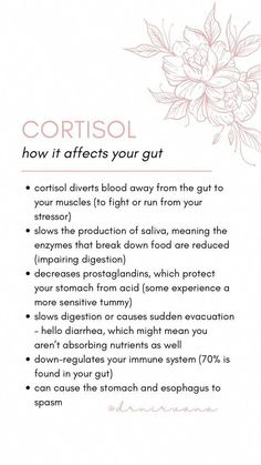 Thyroid Hair, B12 Shots, Holistic Doctor, Gut Issues, Feminine Health, Gut Healing, Adrenal Fatigue, Leaky Gut, Hormone Health