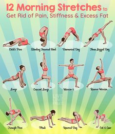 Latihan Dada, Morning Yoga Routine, Morning Stretches, Yoga Beginners, Trening Fitness, Yoga Posen, Relaxing Yoga, Yoga Exercises, Easy Yoga Workouts