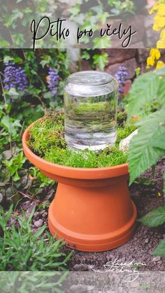 a terrarium with moss growing in it and the words, pelto pro vey