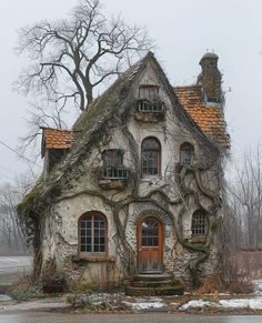 an old house with ivy growing on it's roof and windows in the snow