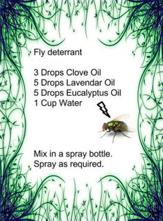 Homemade Fly Spray, Fly Spray, Oil Remedies, Essential Oil Diffuser Blends, Young Living Oils, Doterra Oils, Oil Diffuser Blends, Oil Uses