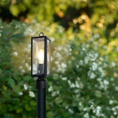 a lamp post in front of some bushes