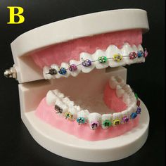 Teeth Model, Braces Colors, Dental Instruments, Dental Lab, Surgical Instruments, Dental Clinic, Braces, Arch, Color