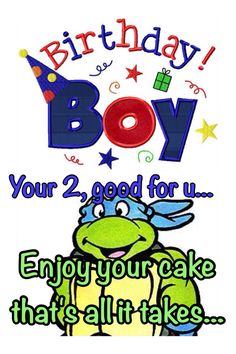 a birthday card with an image of a turtle and the words,'birthday boy your 2 - good for us enjoy your cake that's all it takes