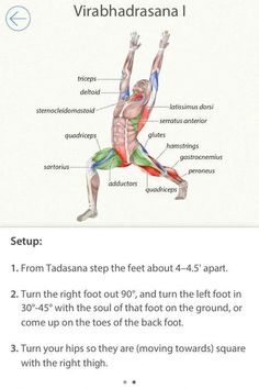 an image of the muscles and their functions in this exercise book, which includes instructions on how to use them