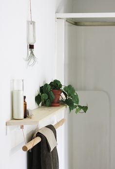 a bathroom shelf with towel rack and potted plant on the ledge next to it