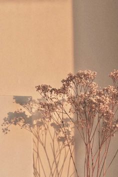 a vase with some flowers in it next to a wall