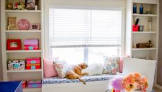 two dogs sitting on a window seat in front of a bookcase with bookshelves