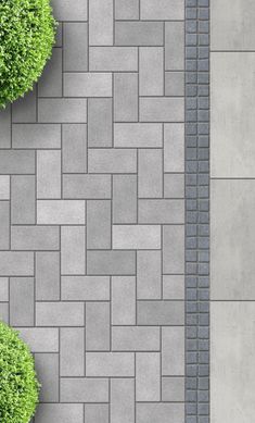 an aerial view of two green bushes on the side of a brick walkway with grey and white tiles