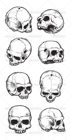 six skulls with different angles and sizes, each showing the same skull's head