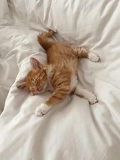 an orange and white cat laying on top of a bed covered in white sheets with its eyes closed