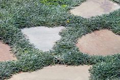 a bird sitting on top of a patch of grass next to a stone walkway in the shape of a heart