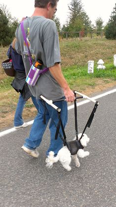 a man walking with two small dogs on leashes down the side of the road