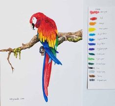 a colorful parrot sitting on top of a tree branch next to watercolor swatches