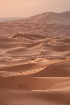 the desert is filled with sand dunes