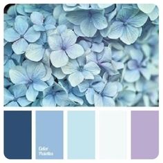 blue and purple color palette with flowers