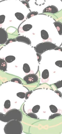 many panda bears are laying down together