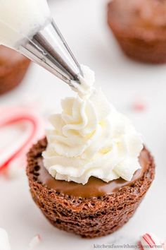 a chocolate cupcake with whipped cream on top