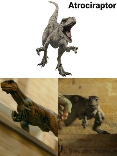 an image of dinosaurs that are in the same place