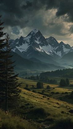 the mountains are covered in snow and green grass, under a dark sky with clouds