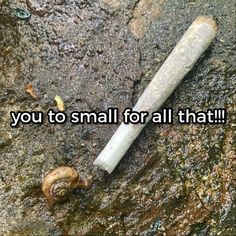 there is a snail on the ground next to a small tube that says, you to small for all that