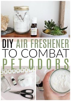 the words diy air freshener to combat pet odors are in front of a jar