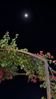 a full moon is seen in the sky above some pink flowers on a trellis