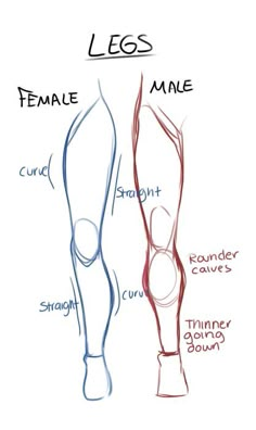 the different types of legs are shown in this diagram