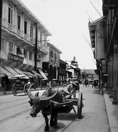 an ox pulling a cart down a street with people riding on it and buildings in the background