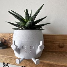 a potted plant sitting on top of a wooden shelf