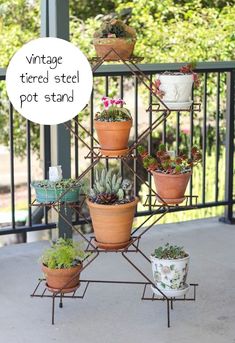 Plant stand decorations