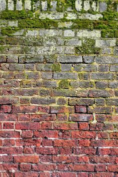 an old brick wall with green moss growing on the top and below it is a red fire hydrant