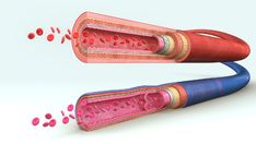 an image of the inside of a tube with blood flowing from it to another tube