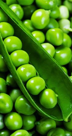 peas with green leaves and water droplets on the top, as well as one pea pod