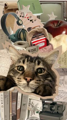 a collage of pictures with cats, books and other things on it's surface