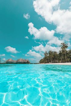 the water is crystal blue and there are palm trees in the background