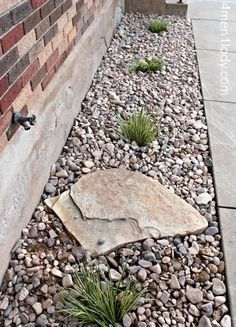 some rocks and plants near a building with a water faucet on the side