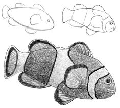 an image of some fish in the water with one black and white line drawing on it