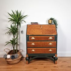 an old fashioned chest of drawers next to a potted plant on a wooden floor