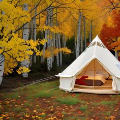 a tent in the woods with fall leaves around it