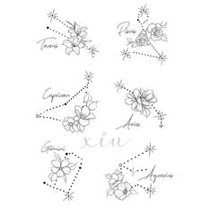 six different types of flowers with the names and numbers in each one, all drawn by hand