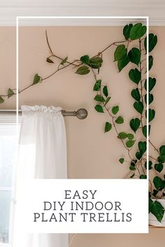 an easy diy indoor plant trellis hanging on the wall with text overlay