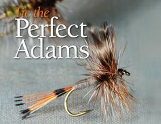 the perfect adams's book cover shows an orange and black fly with brown tips